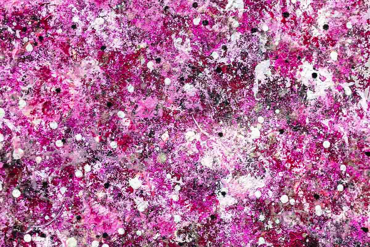 Love Birds and Blossom in Bloom - Standard Edition SET - SOLD by artist Becky Smith - Wyecliffe Galleries