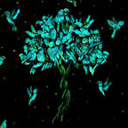 Love Birds - Published Original SOLD by artist Becky Smith - Wyecliffe Galleries