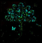 Love Tree - Original - SOLD by artist Becky Smith - Wyecliffe Galleries