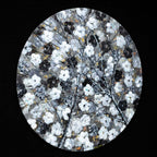 Monochromatic Blossom - Original - SOLD by artist Becky Smith - Wyecliffe Galleries