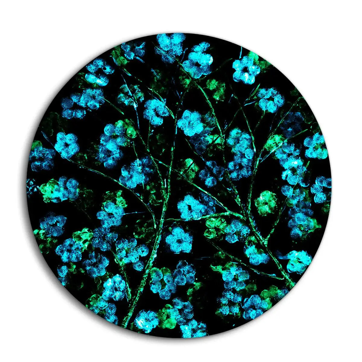 Monochromatic Blossom - Original - SOLD by artist Becky Smith - Wyecliffe Galleries