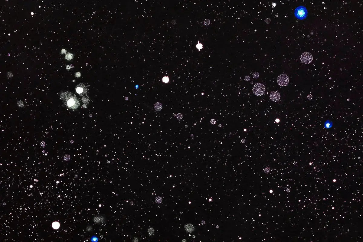 Moon Phases - Standard Edition - SOLD by artist Becky Smith - Wyecliffe Galleries