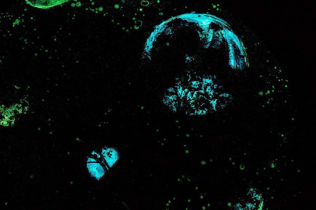 Perception - Original - SOLD by artist Becky Smith - Wyecliffe Galleries