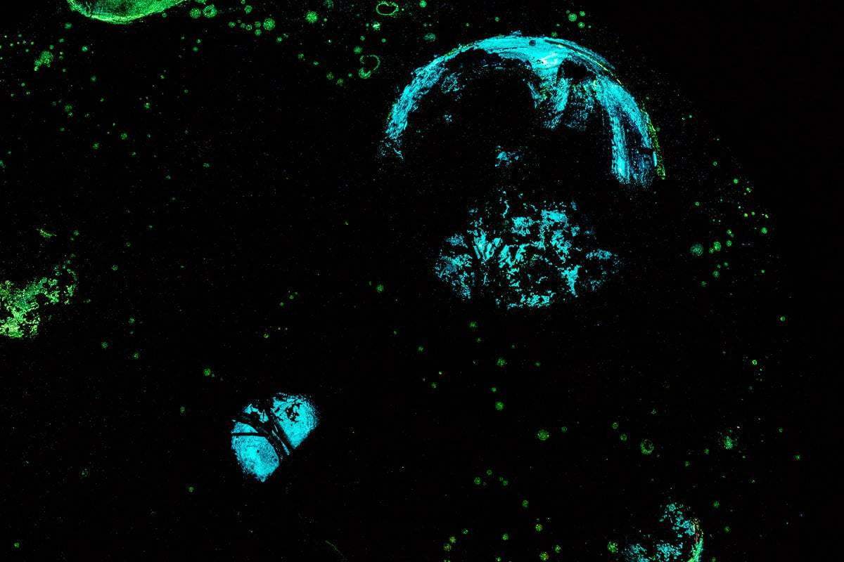 Perception - Original - SOLD by artist Becky Smith - Wyecliffe Galleries