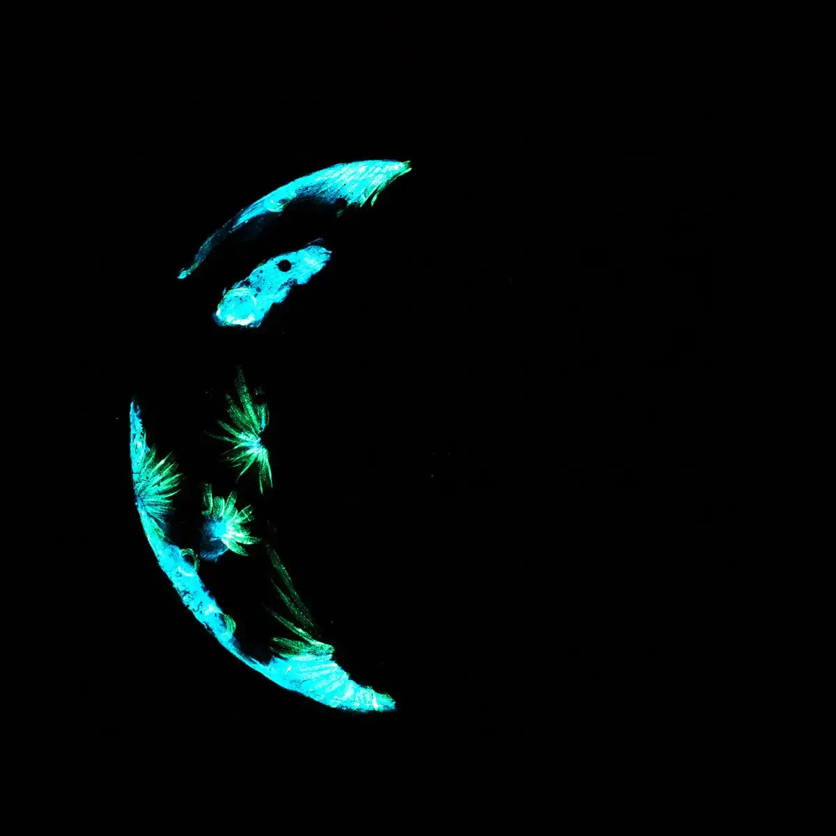 Phases of The Moon - Original Set of 3 - SOLD by artist Becky Smith - Wyecliffe Galleries