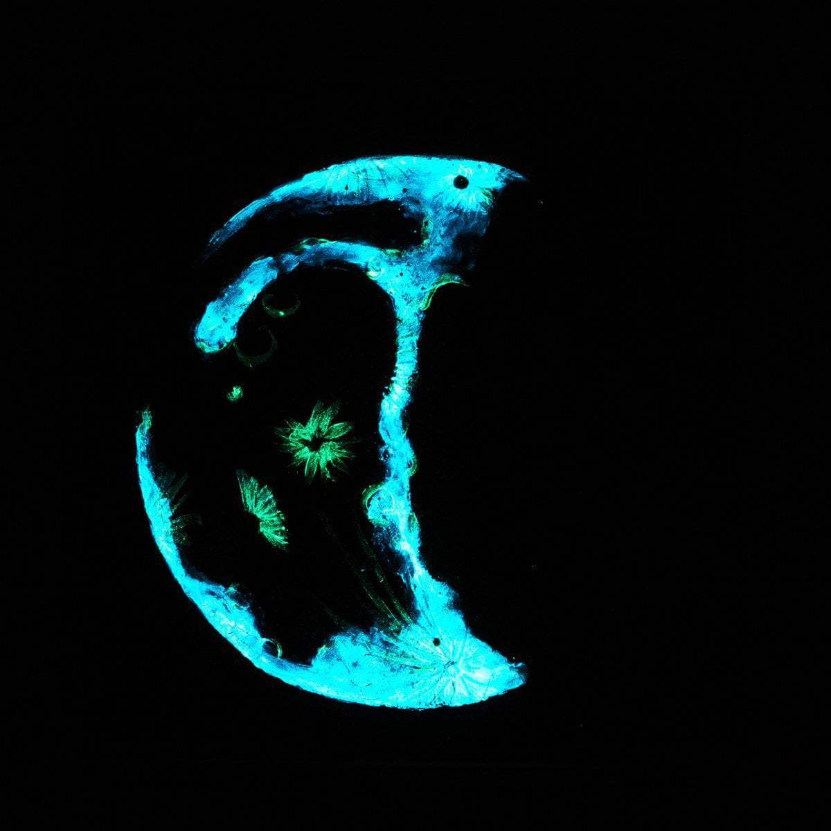 Phases of The Moon - Original Set of 3 - SOLD by artist Becky Smith - Wyecliffe Galleries