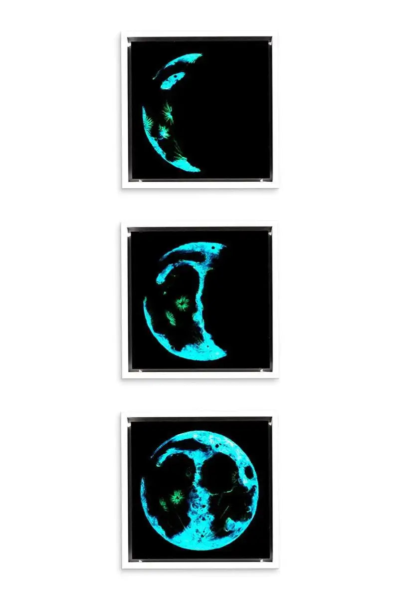 Phases of The Moon - Original Set of 3 - SOLD by artist Becky Smith - Wyecliffe Galleries