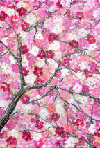 Sakura Blossom II - Original - SOLD by artist Becky Smith - Wyecliffe Galleries