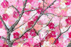 Sakura Blossom - Original - SOLD by artist Becky Smith - Wyecliffe Galleries