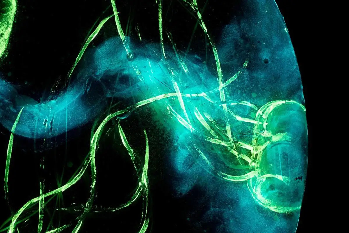 Space Wonder - Original - SOLD by artist Becky Smith - Wyecliffe Galleries