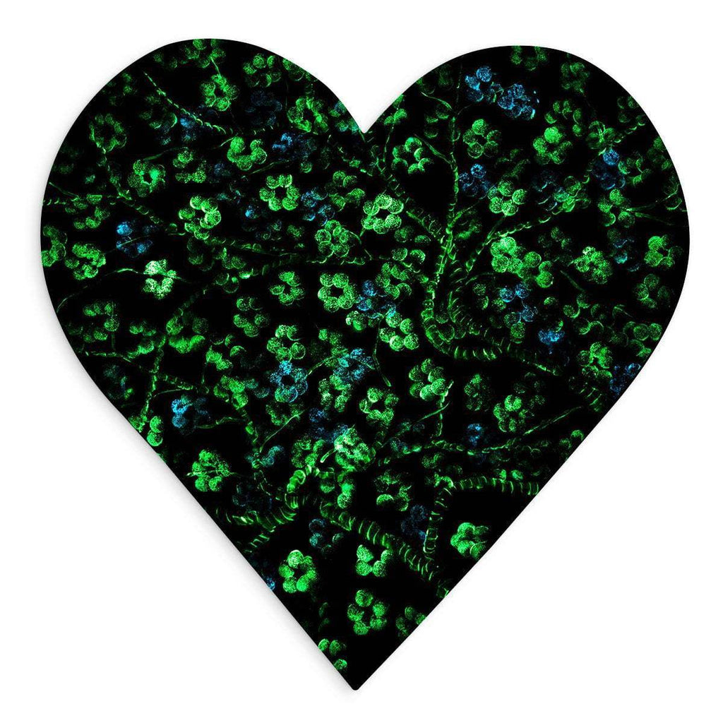 Spring At Heart - Original - SOLD by artist Becky Smith - Wyecliffe Galleries