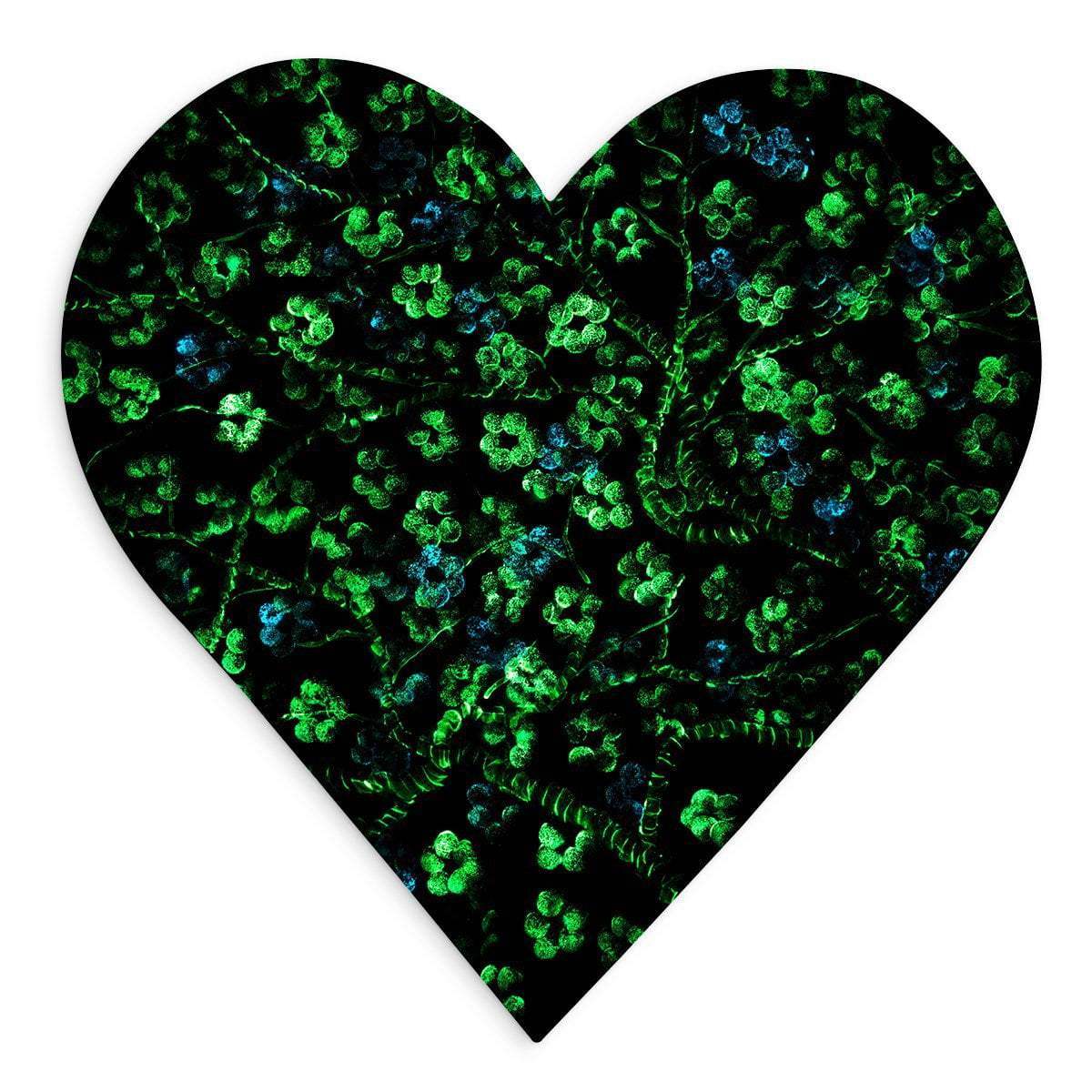 Spring At Heart - Original - SOLD by artist Becky Smith - Wyecliffe Galleries