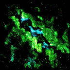 Star-Crossed - Original - SOLD by artist Becky Smith - Wyecliffe Galleries