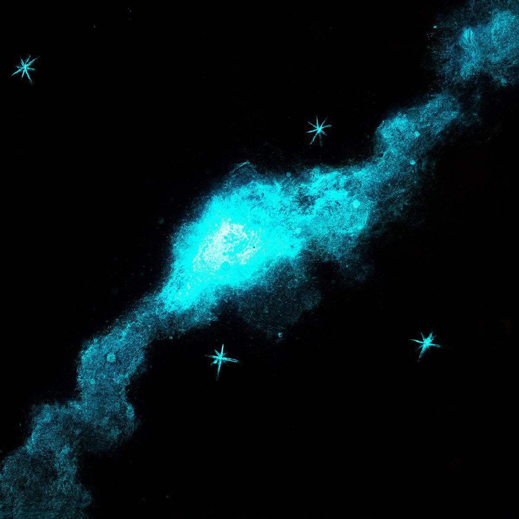 Star Dust - Original - SOLD by artist Becky Smith - Wyecliffe Galleries