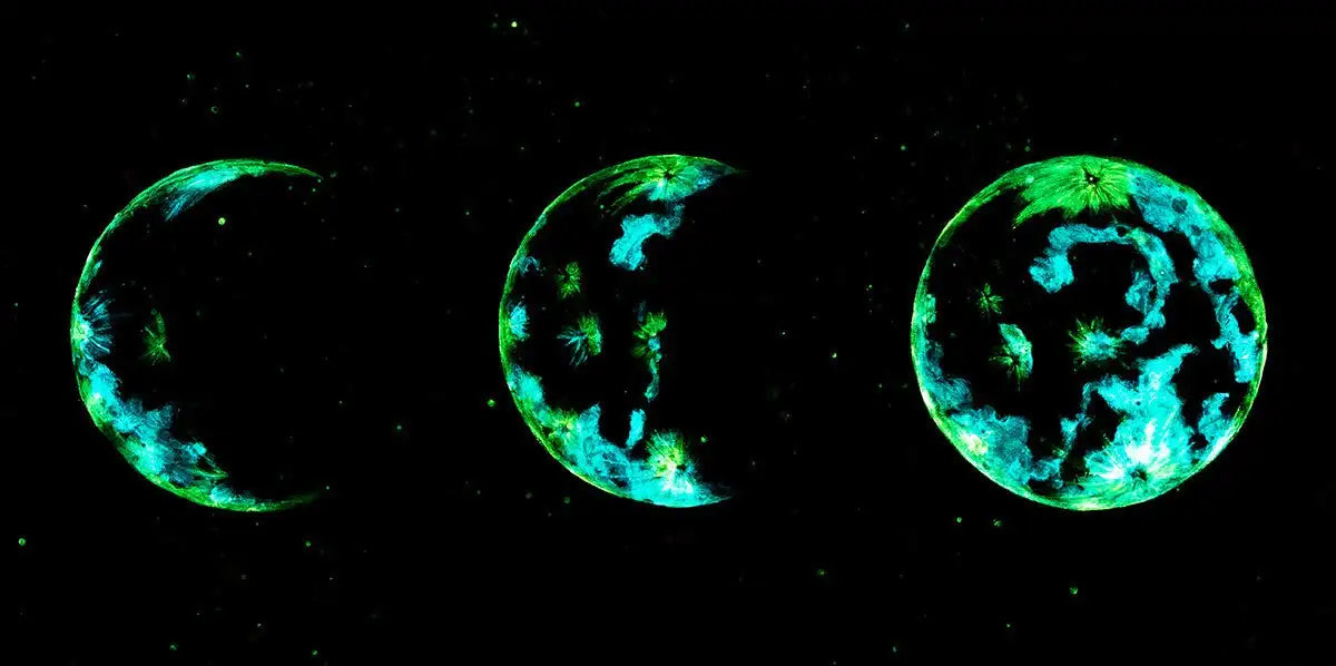 The Lunar Eclipse - Original by artist Becky Smith - Wyecliffe Galleries