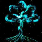 The Shimmers of Space - Original - SOLD by artist Becky Smith - Wyecliffe Galleries