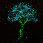 Transcend - Original by artist Becky Smith - Wyecliffe Galleries