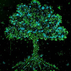 Tree of Eternity - Original - SOLD by artist Becky Smith - Wyecliffe Galleries