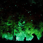 Twilight - Original - SOLD by artist Becky Smith - Wyecliffe Galleries