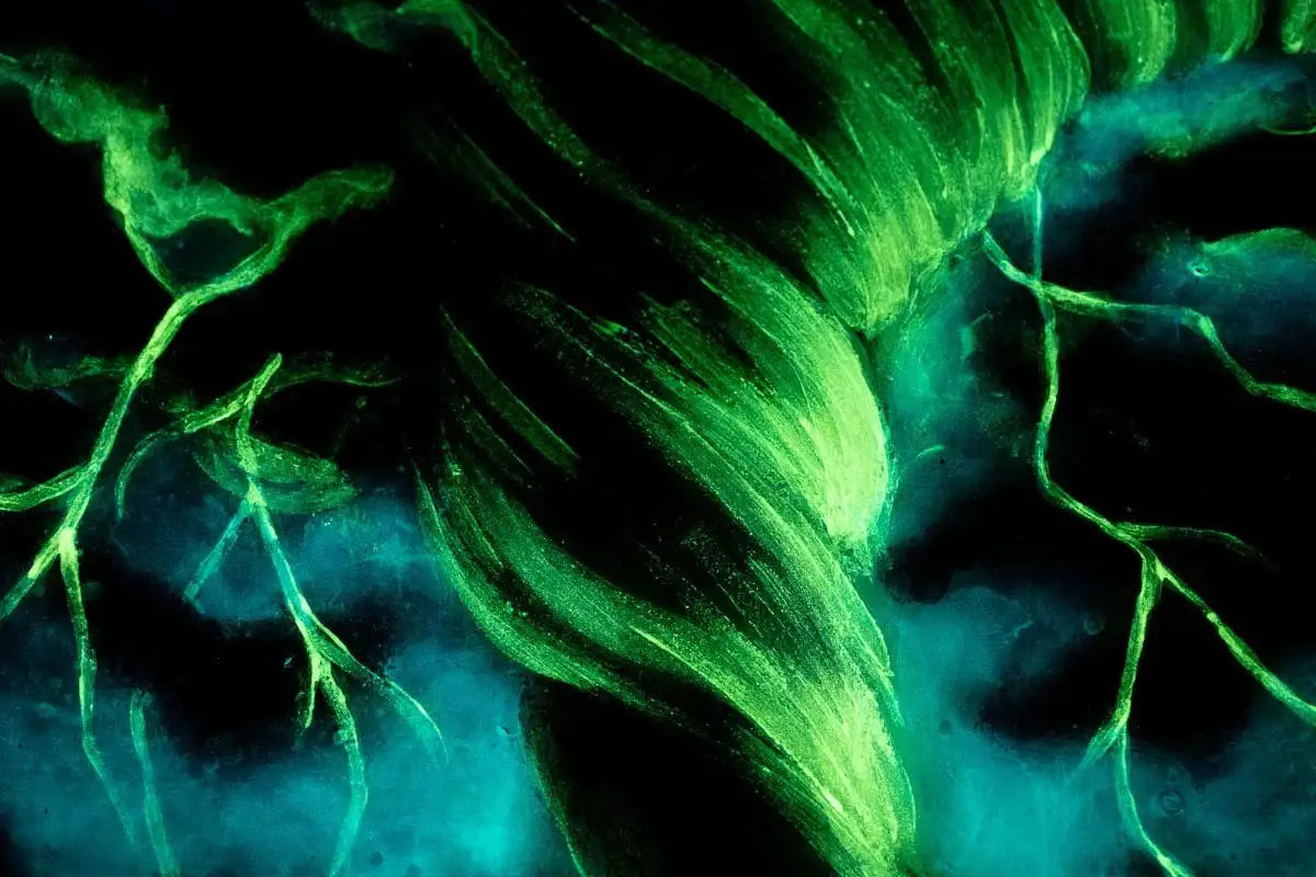 Violet Storms - Original - SOLD by artist Becky Smith - Wyecliffe Galleries