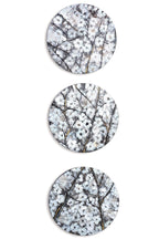 Winter in Bloom - Triptych - Original - SOLD by artist Becky Smith - Wyecliffe Galleries