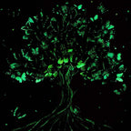 Wisdom - Original - SOLD by artist Becky Smith - Wyecliffe Galleries