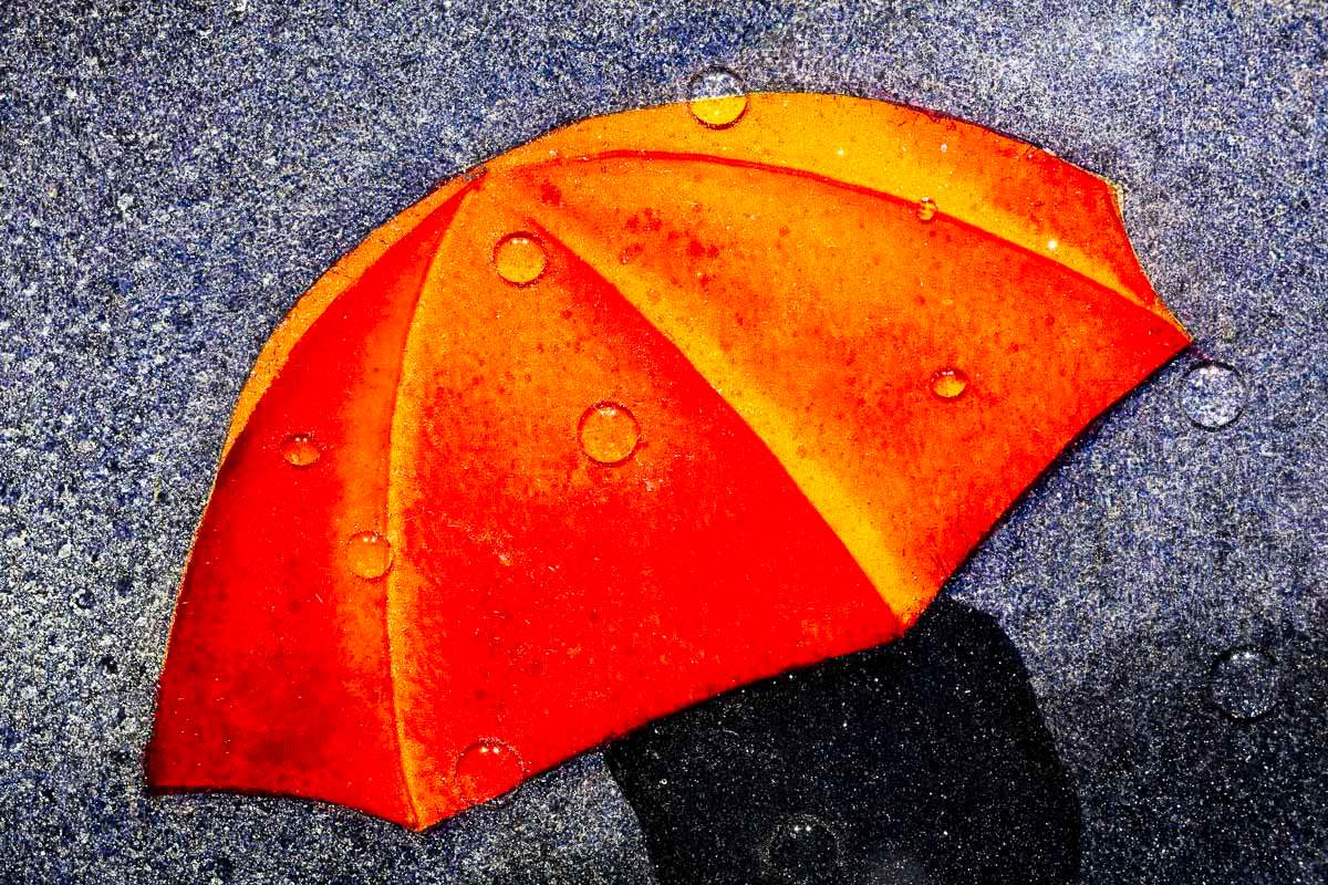 Afterdark - Original - SOLD by artist Brenda Herd - Wyecliffe Galleries