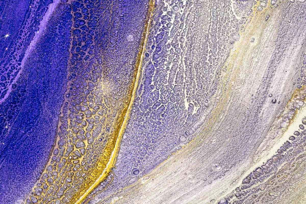 Luxury - Original by artist Brenda Herd - Wyecliffe Galleries