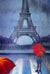 Parisian Storms - Original Brenda Herd Framed