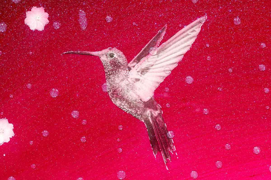 Sunrise Bloom - Original - SOLD by artist Brenda Herd - Wyecliffe Galleries