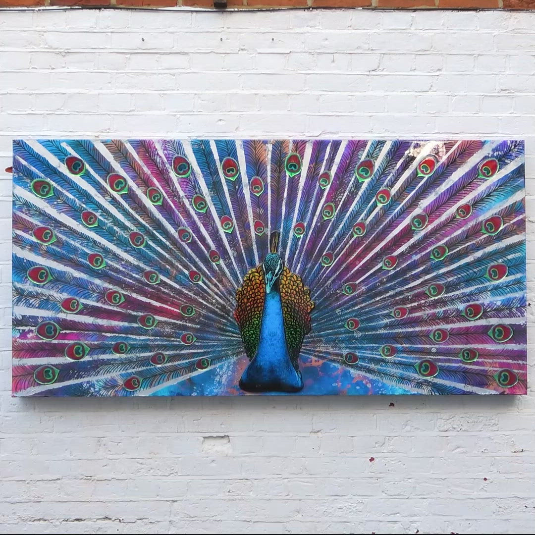 Peacock Dance - Deluxe Edition - SOLD