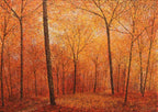 Golden Floor - Sold by artist Chris Bourne - Wyecliffe Galleries