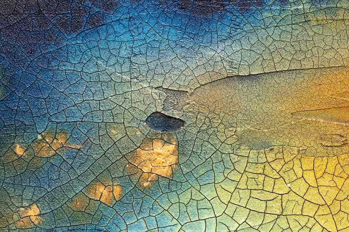 Stillness - Original - SOLD by artist Craig Foord - Wyecliffe Galleries