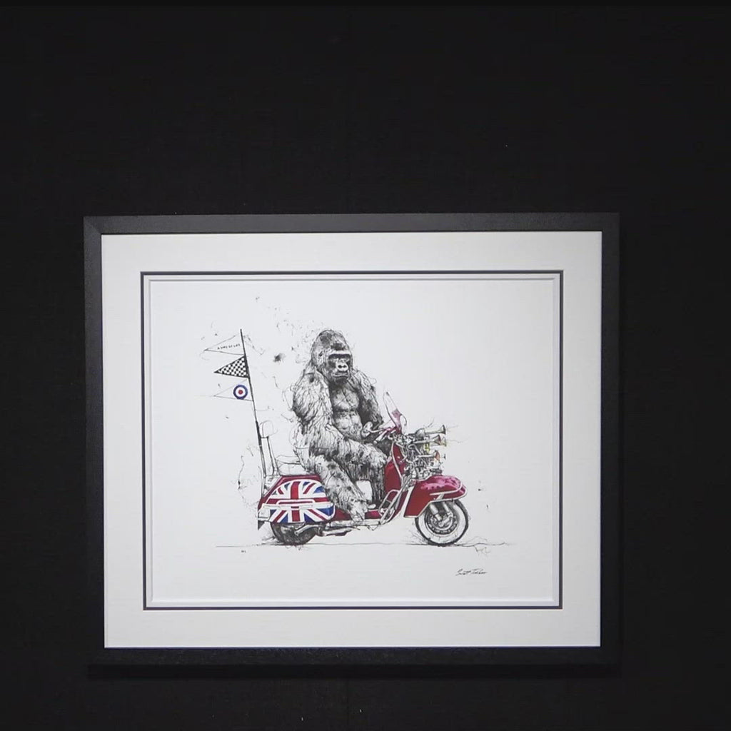 A Way Of Life - Edition