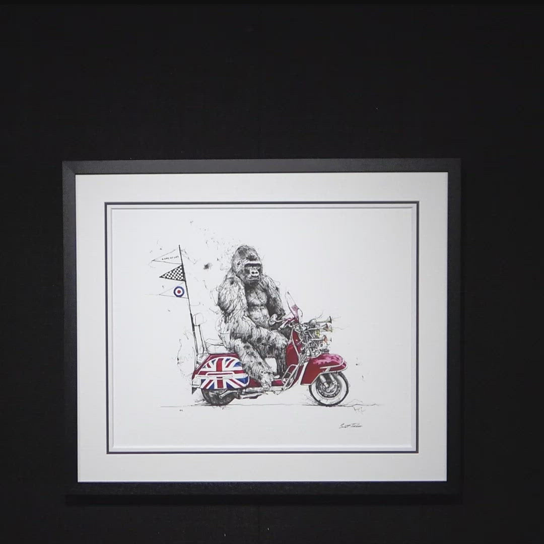 A Way Of Life - Edition