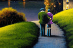 A Love That's Written in the Stars - Original - SOLD by artist David Renshaw - Wyecliffe Galleries