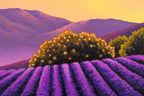Cherish Every Moment - Original - SOLD by artist David Renshaw - Wyecliffe Galleries