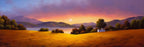 Firefield - SOLD by artist David Renshaw - Wyecliffe Galleries