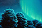 Our Winter Wonderland - Original - SOLD by artist David Renshaw - Wyecliffe Galleries