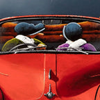 Time With You - SOLD by artist David Renshaw - Wyecliffe Galleries