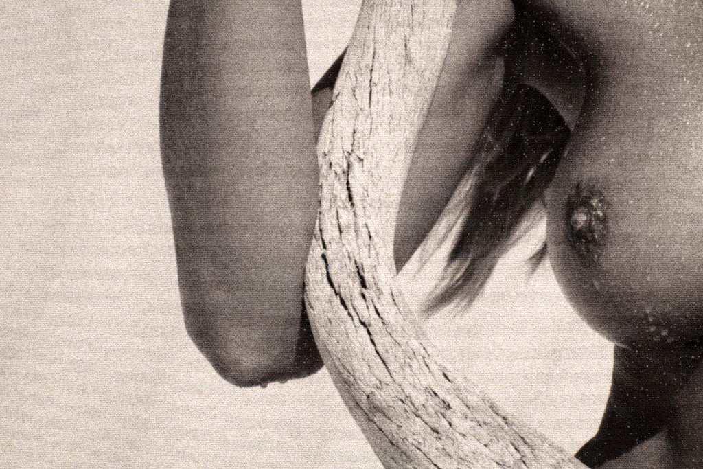 Kudu - Limited Edition by artist Dook - Wyecliffe Galleries