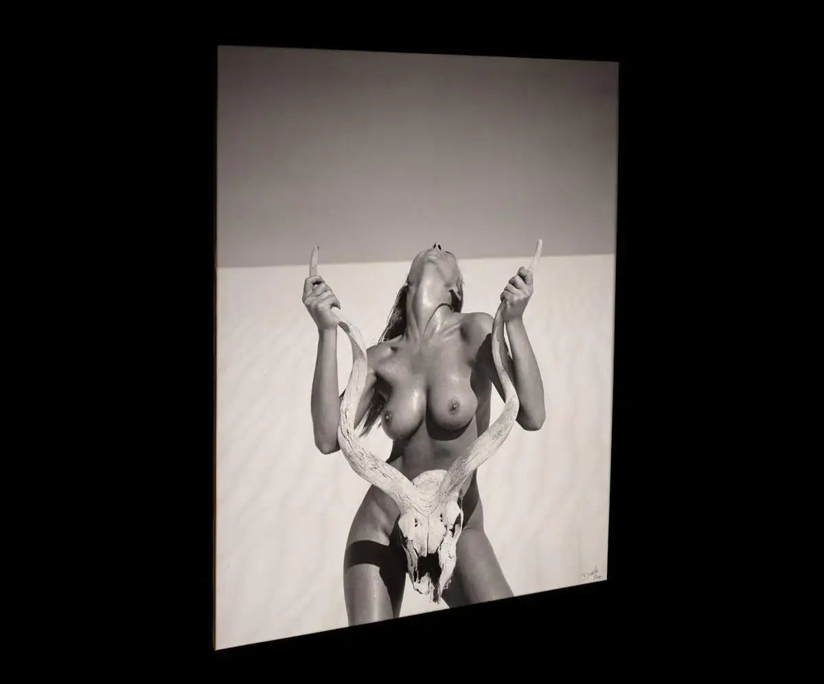 Kudu - Limited Edition by artist Dook - Wyecliffe Galleries