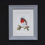 Reggie - Original - SOLD