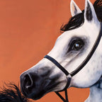 Caspian - Original by artist Faye Nasser-Joley - Wyecliffe Galleries