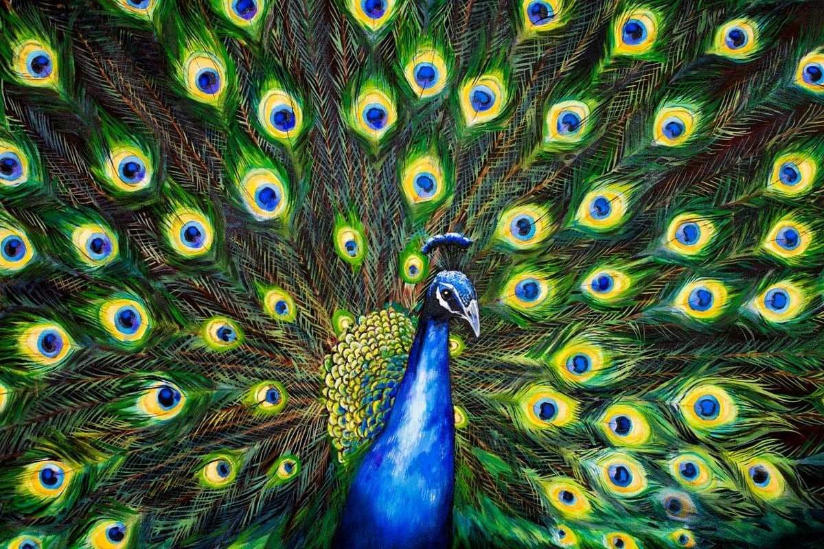 Colours of a Feather - SOLD by artist Faye Nasser Joley - Wyecliffe Galleries