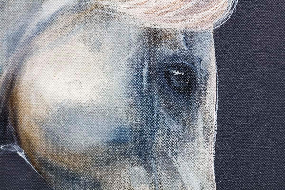 Equestaria - Original by artist Faye Nasser-Joley - Wyecliffe Galleries