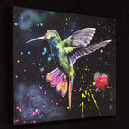 Firefly - Original by artist Faye Nasser-Joley - Wyecliffe Galleries