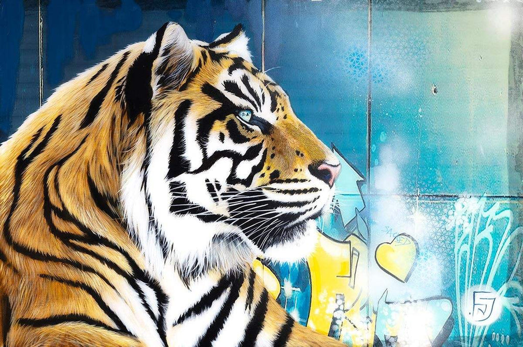 Galileo - Original by artist Faye Nasser-Joley - Wyecliffe Galleries