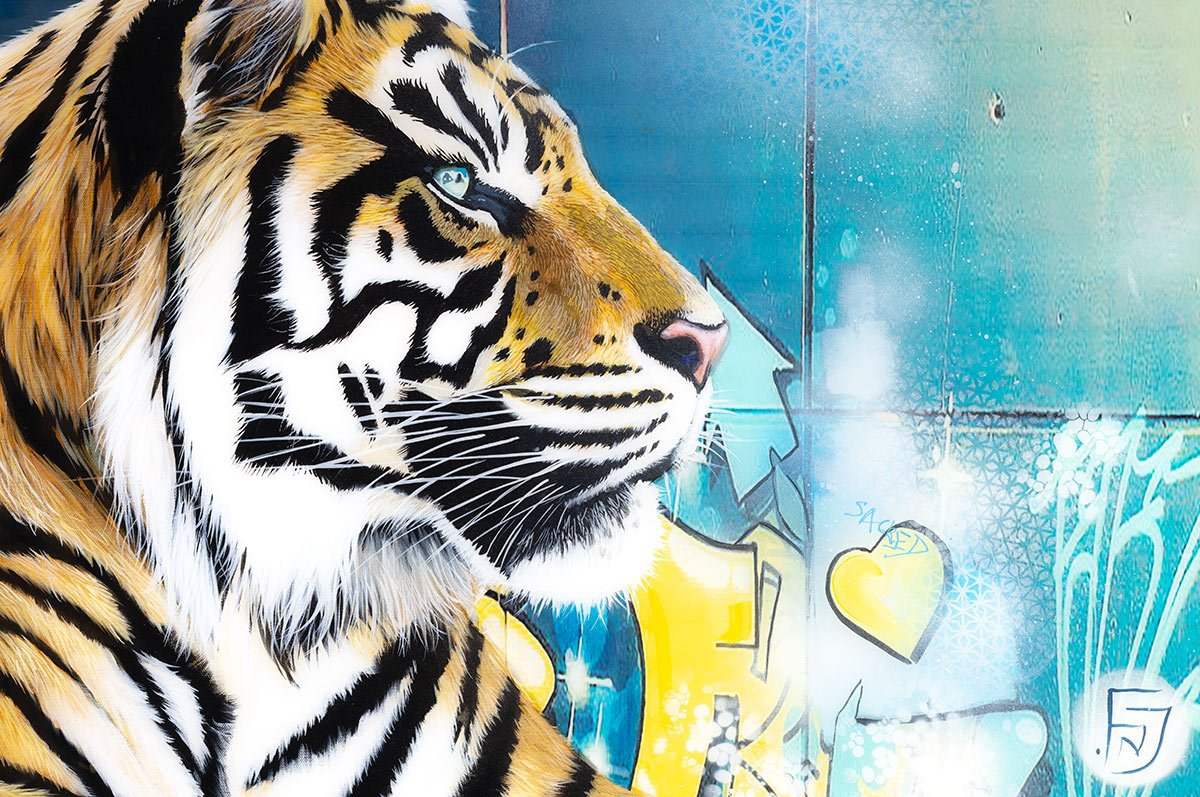 Galileo - Original by artist Faye Nasser-Joley - Wyecliffe Galleries