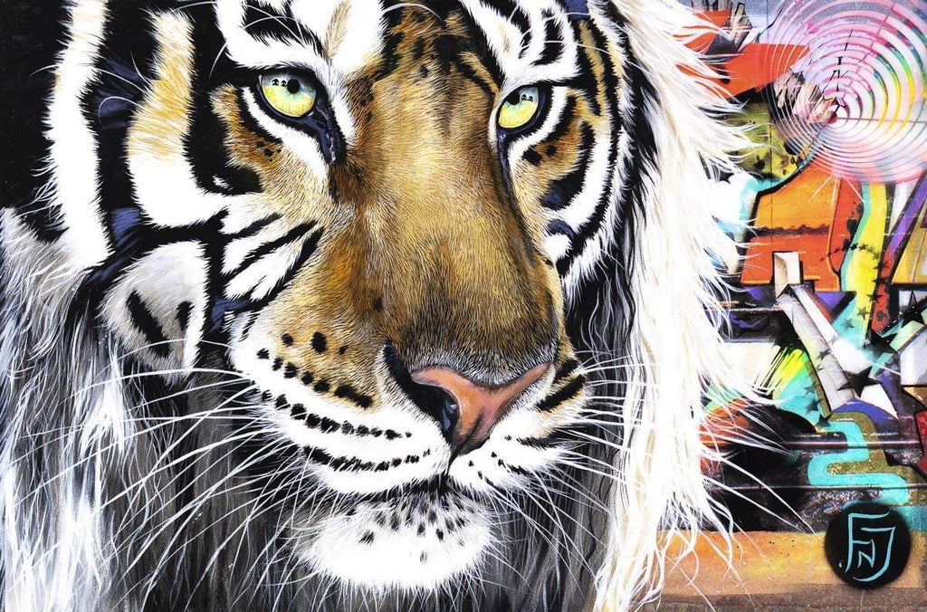 Kobe - Original by artist Faye Nasser-Joley - Wyecliffe Galleries